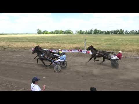 Trka "Prva trka" 13.06.2021 Asteria - Sive Kečenović