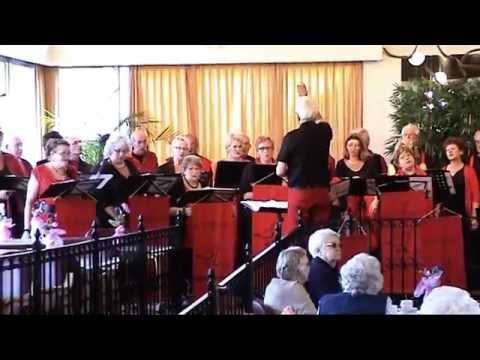 De Notenkrakers uit Geesbrug in WZC ABC te Meppel - Deel 2