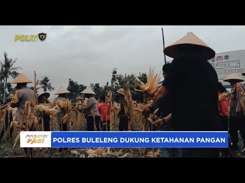 PANEN JAGUNG POLRES BULELENG DUKUNG KETAHANAN PANGAN