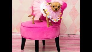 cooler then me kidz bop lyrics