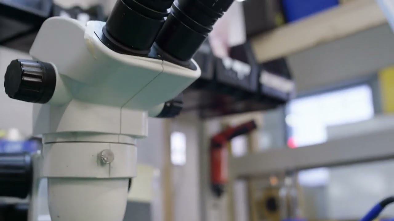 Innovations in Semiconductor Diodes: Bridging the Gap with Microchip Technology