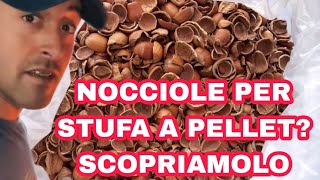 Gusci di Nocciole al posto del Pellet test e valutazione