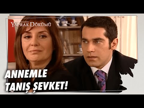 Ferhunde'nin Annesi Döndü! - Yaprak Dökümü 16. Bölüm