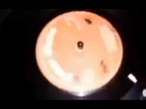 Odira Jawagire MIGORI SUPER STARS Kasongo Polo Menyo LUO BENGA SONGS #luobenga #music #song 