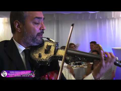 Darius Cocos & Costel Cocos - Program autentic instrumental Nunta Mogosoaia New Live 2017