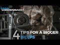 4 Tips for a Bigger Biceps