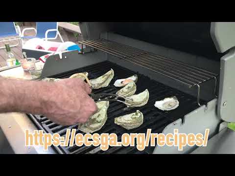 How to Grill Oysters