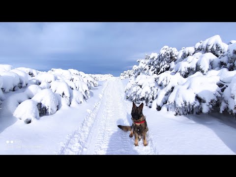 Platoul Bucegi & coborare pe Piciorul Pietrei Arse