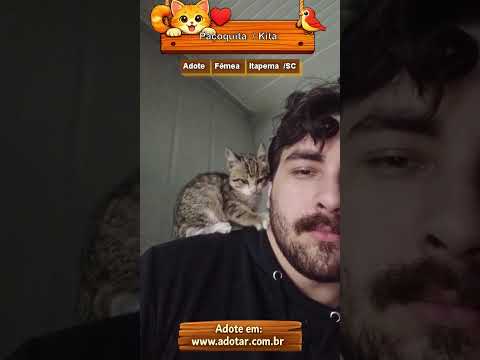 Vídeo de Paçoquita/ Kita