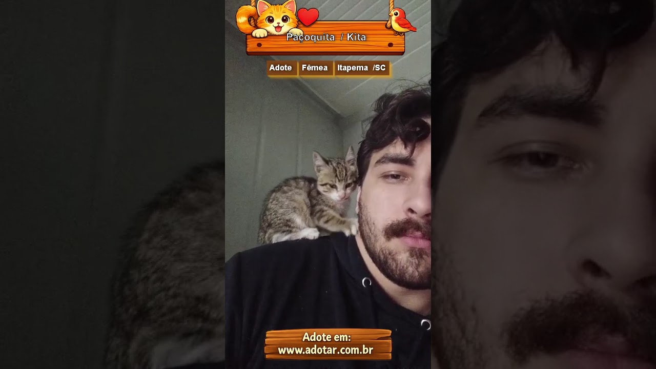 Gato raça SRD-ViraLata idade Abaixo de 2 meses nome Paçoquita/ Kita
