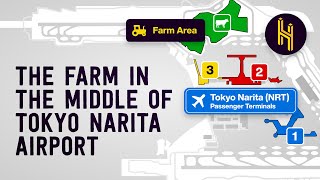 The Farmer That Lives in the Middle of Tokyo Narita Airport