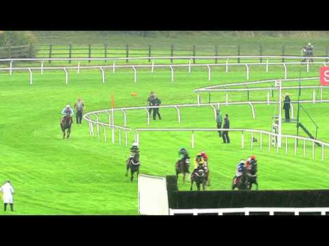 Mad Moose- Will He Race? - Racing TV