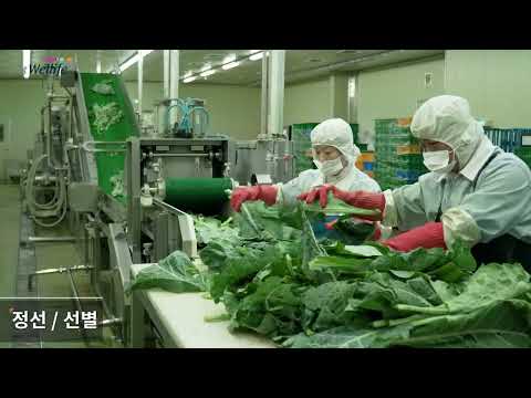 대상웰라이프 녹즙 제조 공정 썸네일