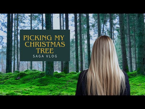 Picking my Christmas tree | Swedish countryside 