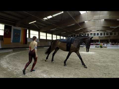 Landesmeisterschaft Rheinland-Pfalz - Herxheim - Einzelvoltigieren Emma Wiener VFZ Mainz-Ebersheim