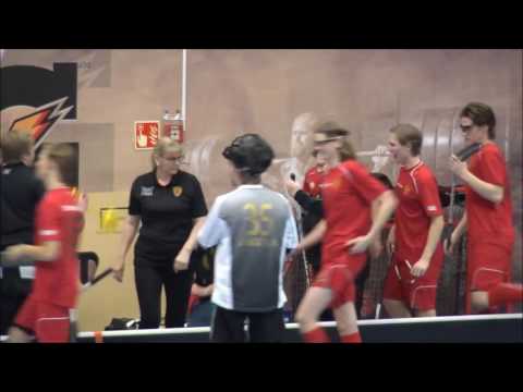 TPS vs. Koovee B1-pojat (24.1.2017 / Leaf Areena) - Maalikooste