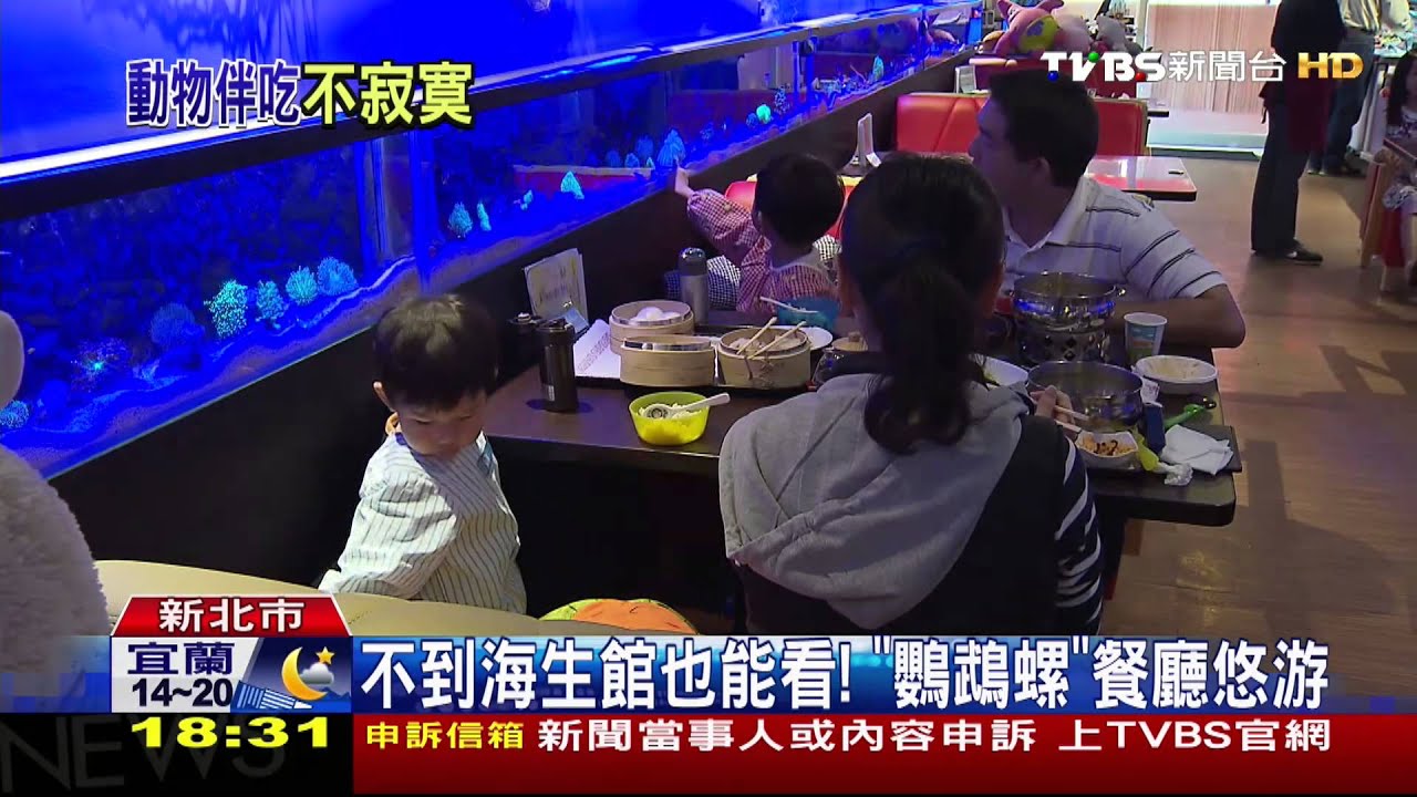 跟「尼莫」一起吃飯！　餐廳也有海生館FU