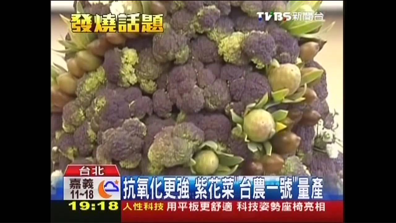 抗氧化更強 紫花菜「台農1號」量產