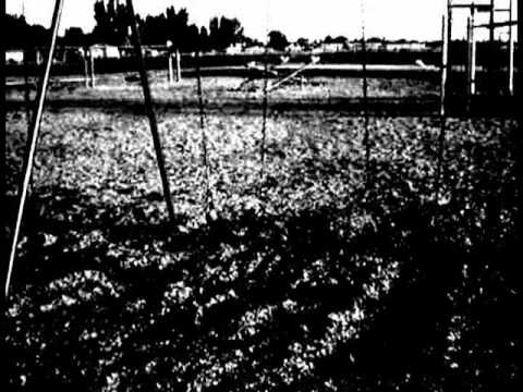 Royal Bliss- We Did Nothing Wrong Unofficial Music Video