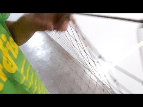 SÉRIE PRATA 2023/AO VIVO/ COLOMBO FUTSAL X AAEMA FUTSAL