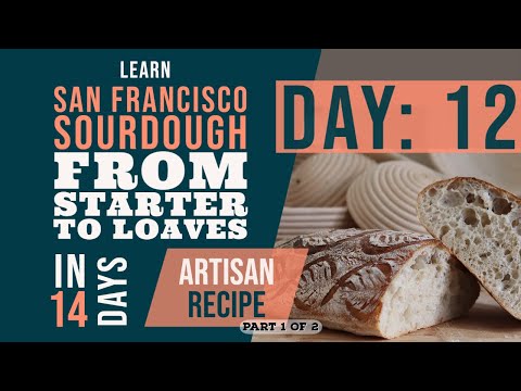San Francisco Sourdough Bread Series: Day 12 - Advanced artisan recipe: Gluten development & shaping