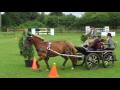 Fahrtrunier Rheine Mesum 2 7 2016