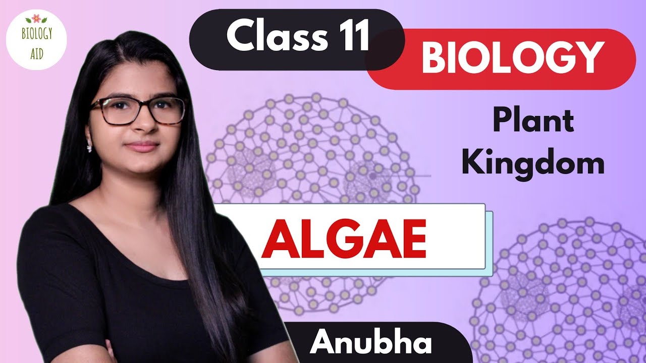 Class 11 || Algae (Plant Kingdom) || NCERT