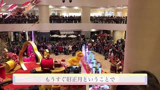 香港旧正月のライオンダンス