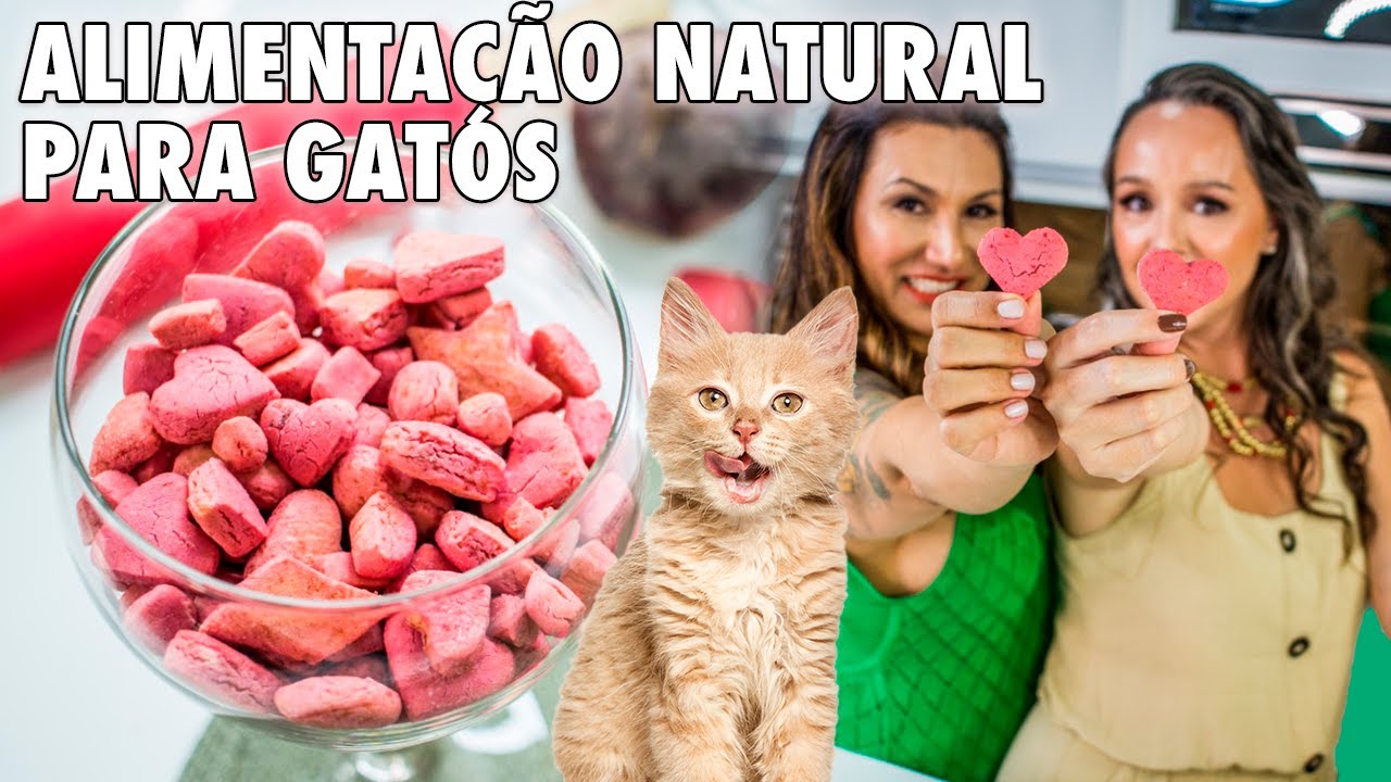 ALIMENTAÇÃO NATURAL PARA GATOS | SAUDÁVEL COMIGO #07/20 | BLOCO 2