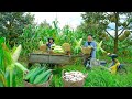 Harvest Pink Glutinous Corn Musang King Durian Chilies And Mushrooms To Sell At The Market Farm