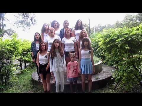 BTS 5 Anos - Coral '2! 3! Army Version' By: Cevs (CC Kor/Eng/ Pt BR)