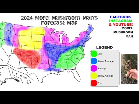 2024 Morel Mushroom forecast! Will your area be a boom or bust Morel Season?