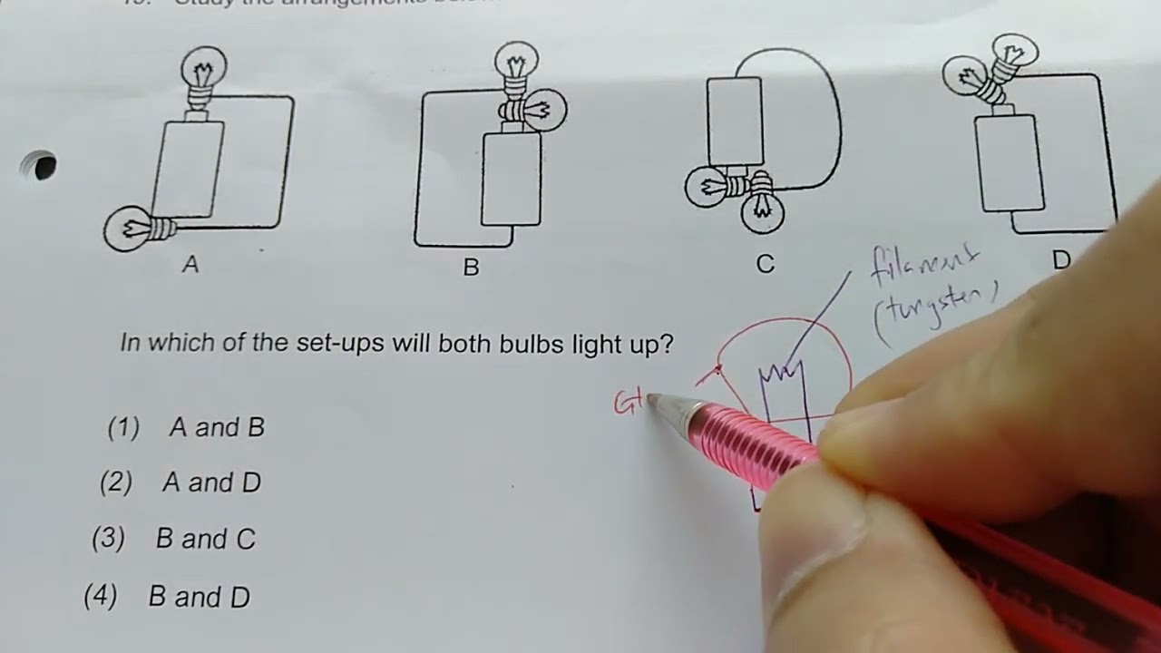 P5 Science End of Year Exam MCQ Part 2 Physical Science Questions