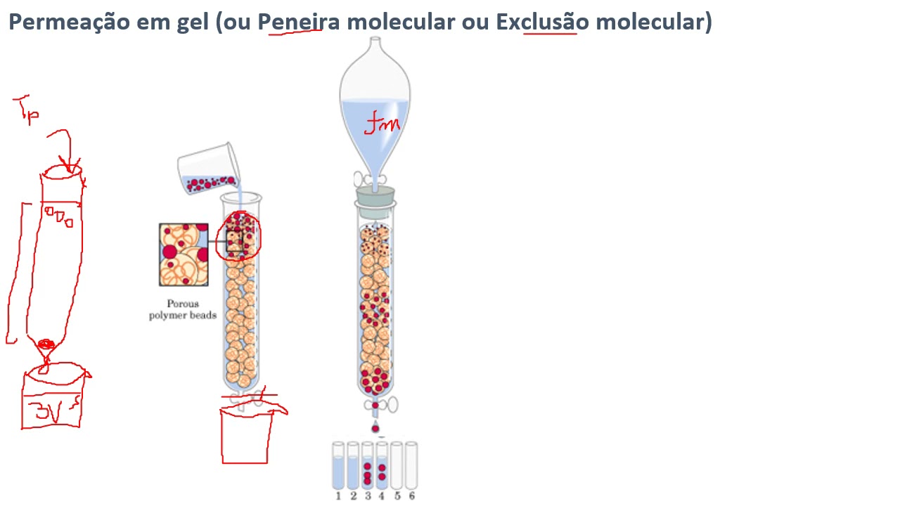 Práticas de Cromatografia