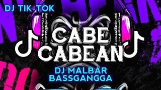 Download lagu DJ CABE CABEAN VIRAL TIK-TOK (BASSGANGGA) DJ MALBAR REMIX TERBARU 2024 mp3