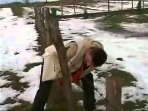 Maki Mulalic Kujo Slijepa Novogodisnji program RTV Cazin