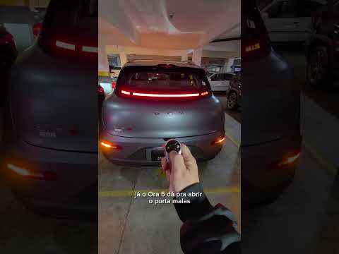 GWM Ora 5 ou Leapmotor B10? Qual o melhor 100% elétrico?