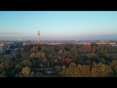 Basiglio 12 novembre 2023 video 1 short