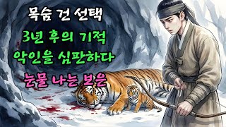 Download lagu 죽어가는 호랑이를 살려준 사냥꾼, 3년 뒤 처형장에서 벌어진 기적 |야담 |옛날이야기 |민담 |전설 | 설화 mp3