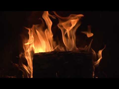 Sinti Dorado Bern - Rati ( Abends) 2023 🎶🎙🎹🎶