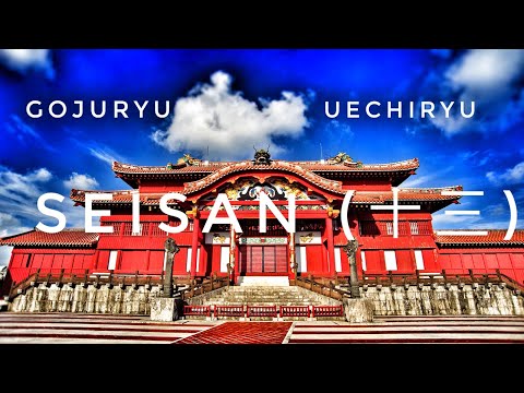 Seisan (十三) #uechiryu #gojuryu #karate