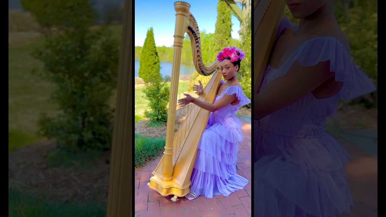 Promotional video thumbnail 2 for Daniella Enchanted