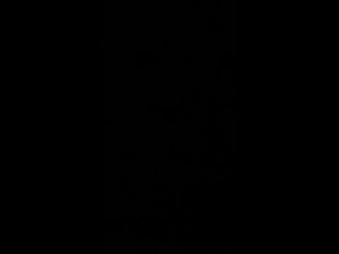 Zilele Comunei Ungureni,, artificii "