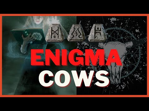 Enigma Cows - Unbelievable RNG! 200 Cow Runs - Diablo 2 Resurrected