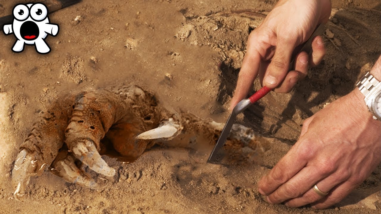 As Descobertas Arqueológicas Mais Assustadoras Já Encontradas