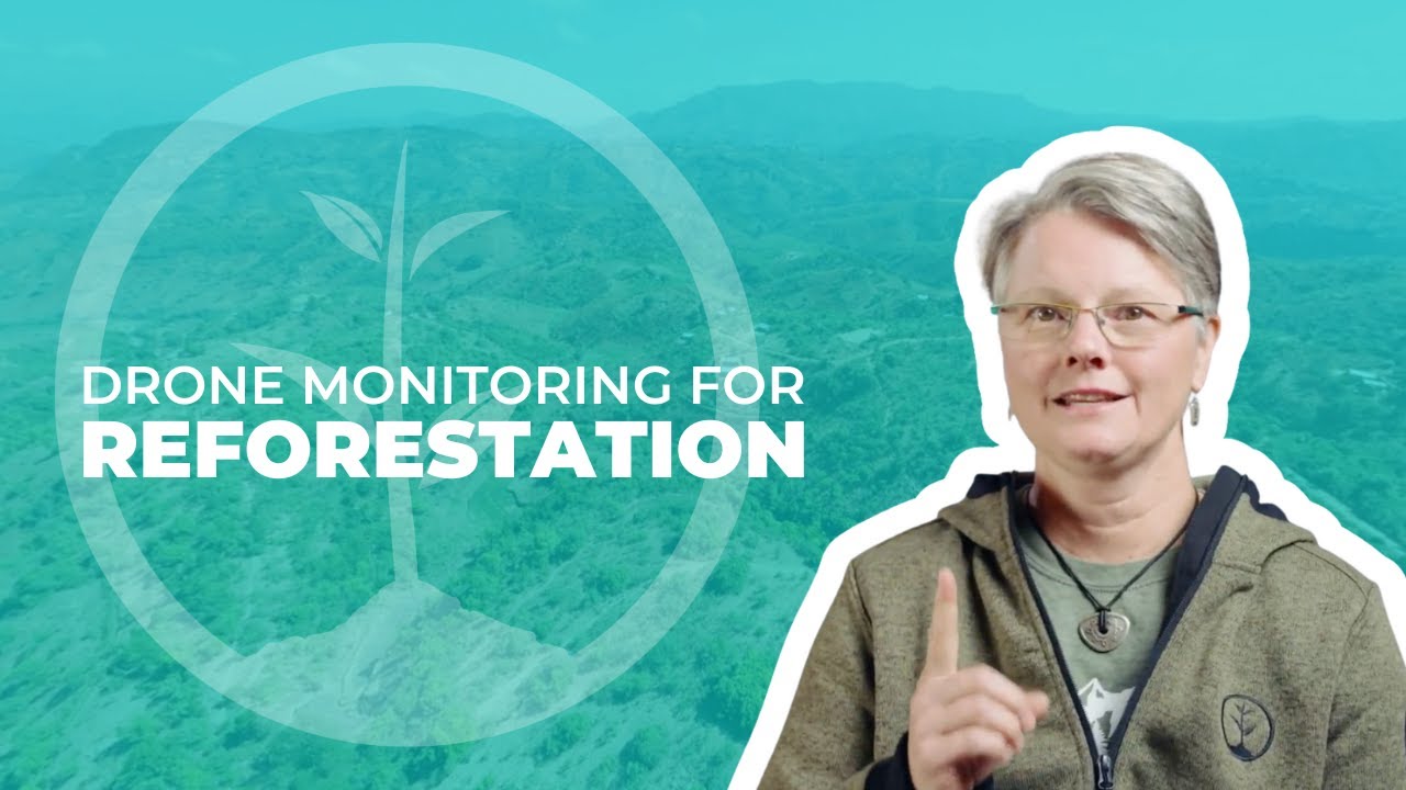 Drone Monitoring for Reforestation | One Tree Planted