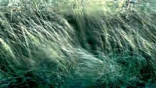 Policy Of Truth - Sylvain Chauveau