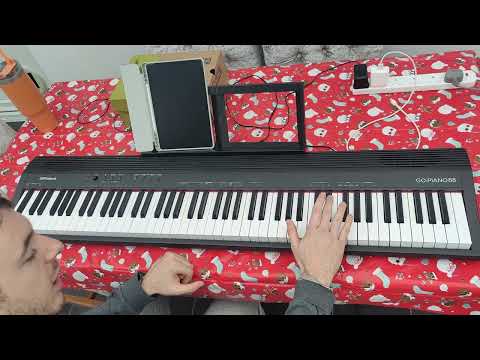 The Roland GO Piano 88 - Full Review!