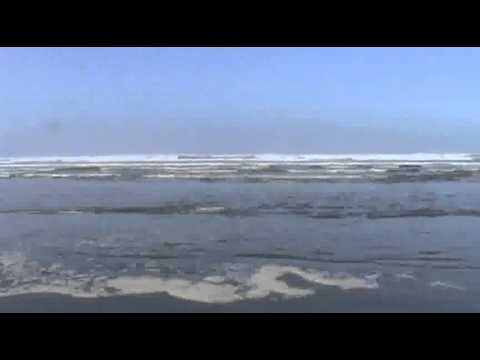 download lagu mp3 mp4 Destruction Island, download lagu Destruction Island gratis, unduh video klip Destruction Island