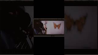 【#盗作】【#ヨルシカ】【#shorts】【#永久機関】  #盗作 #ヨルシカ  プロフよりYouTube fullへ飛べます！ #初音ミク #anime  #hatsunemiku